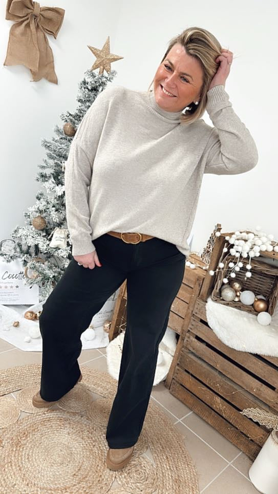 Pull col cheminé Marius Beige